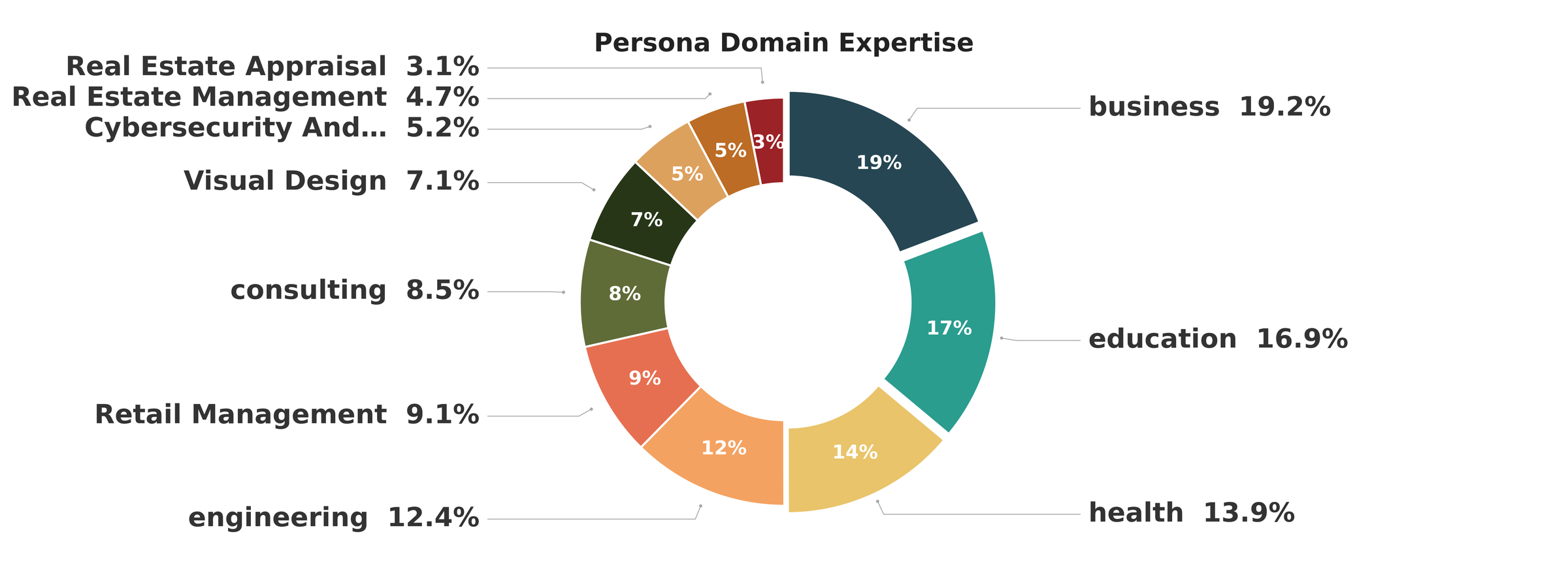 Donut chart of persona domain expertise clusters: business 19.2 percent, education 16.9 percent, health 13.9 percent, engineering 12.4 percent, retail management 9.1 percent, consulting 8.5 percent, visual design 7.1 percent, cybersecurity 5.2 percent, and two real-estate clusters.